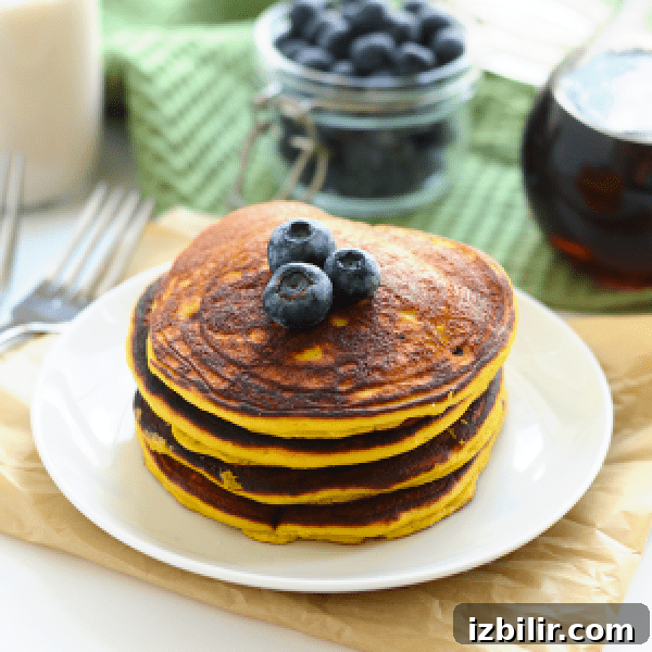 A stack of pumpkin pancakes with blueberries on a plate.