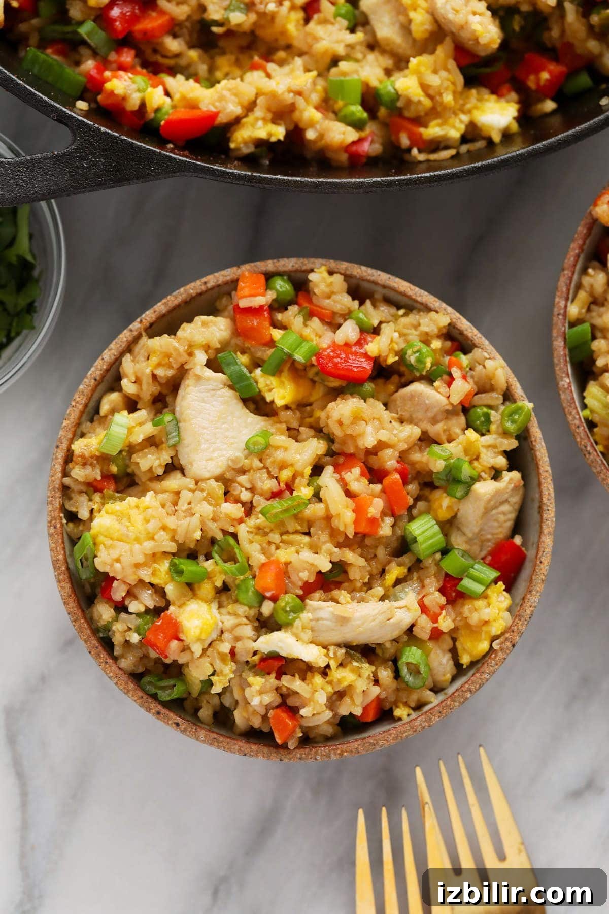chicken fried rice in bowl