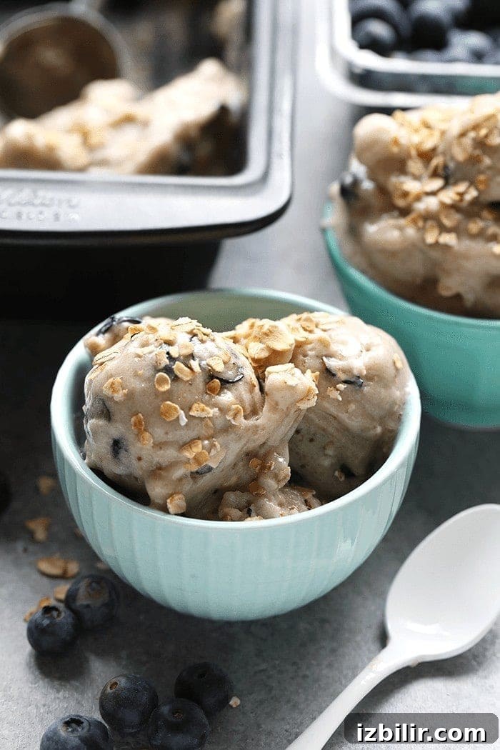blueberry muffin soft serve
