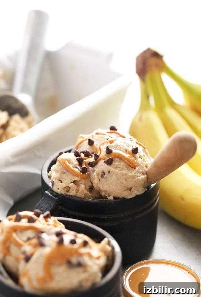 peanut butter banana soft serve