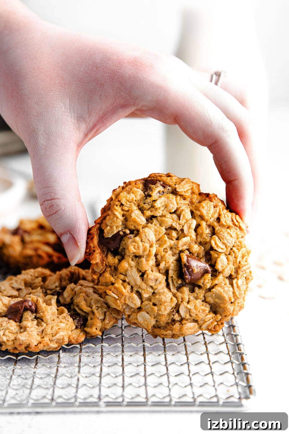 oatmeal cookies on wire rack