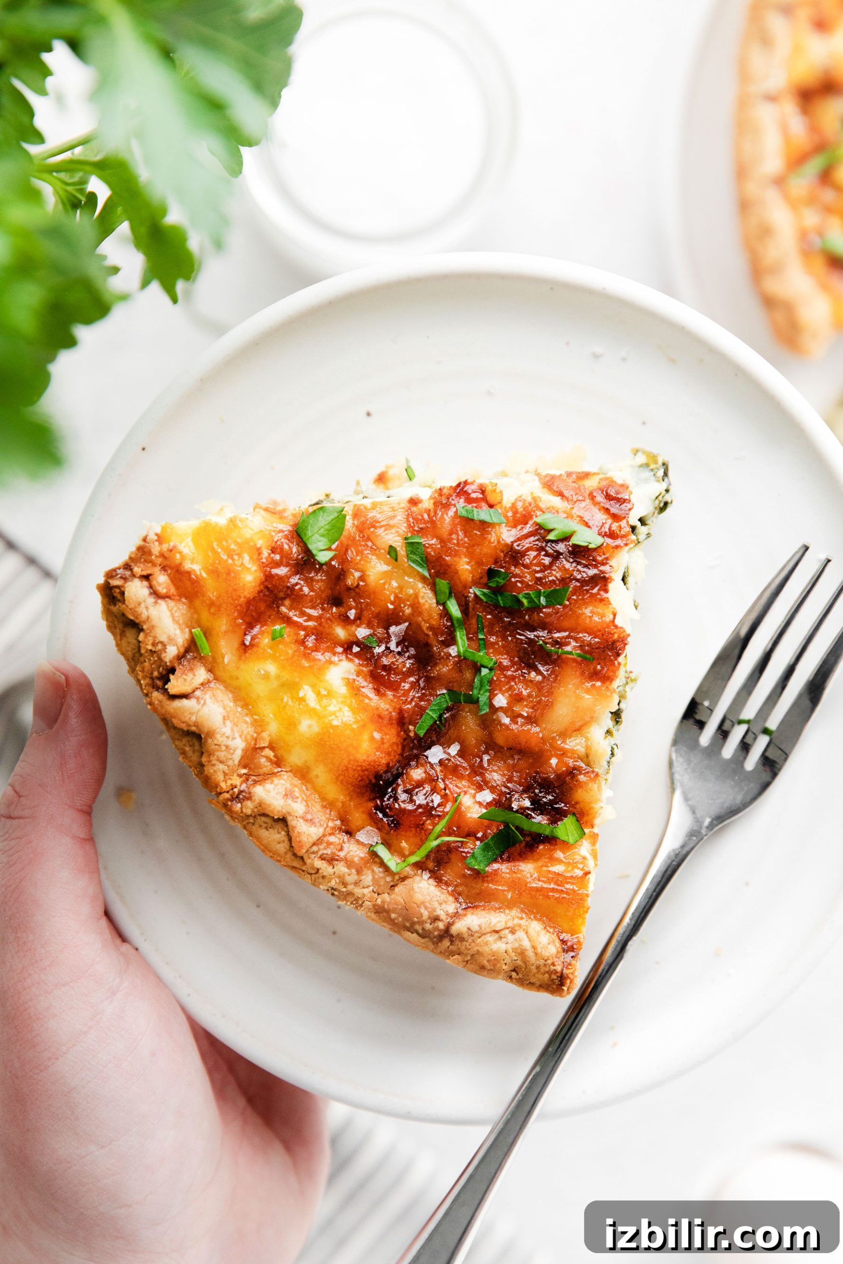 Spinach Quiche Recipe with Flaky Pastry Crust 3 A piece of quiche on a plate.