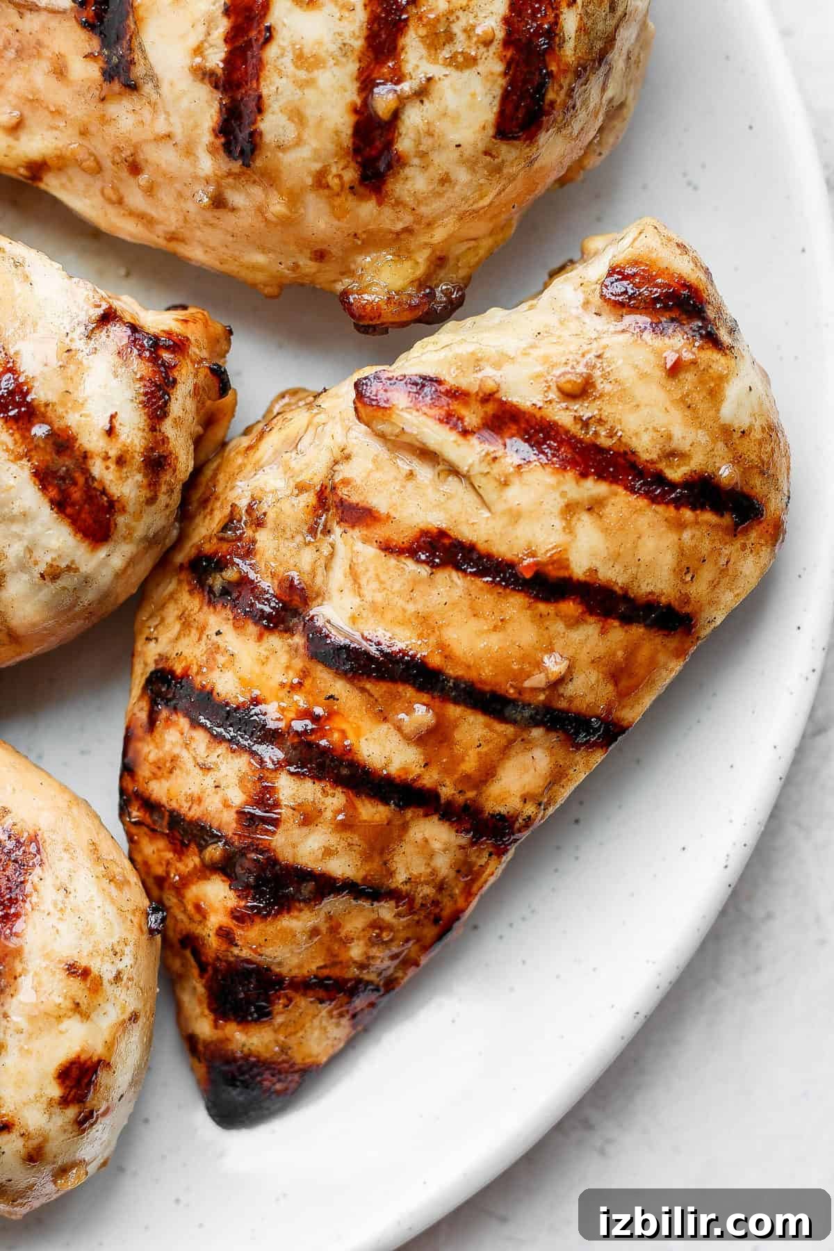 Grilled chicken breast on plate.