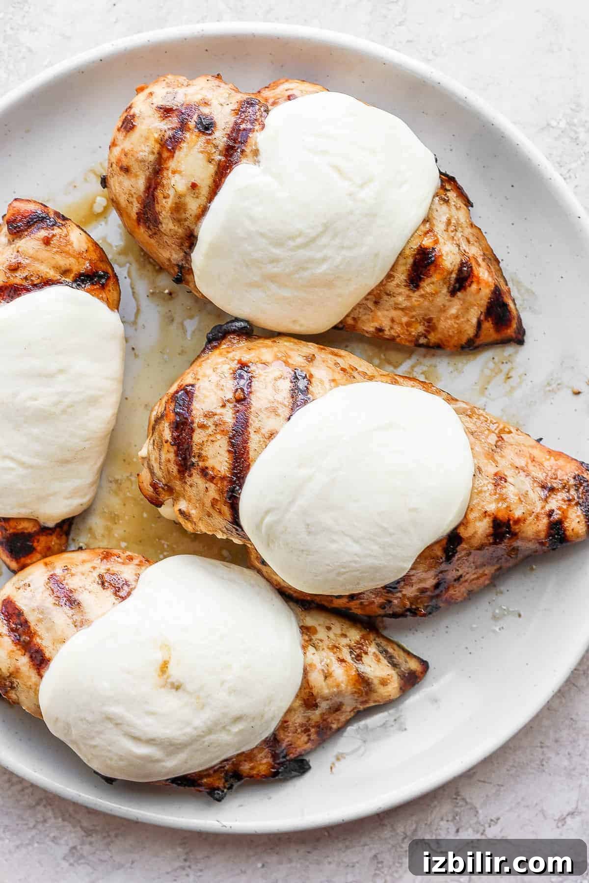 Grilled Bruschetta Chicken Recipe with Tomato Basil Topping 5 Melted mozzarella on grilled chicken breast.