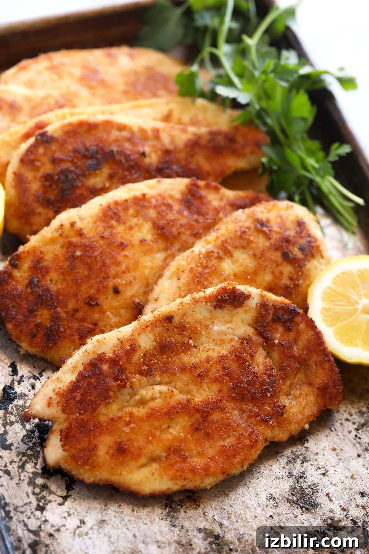 6 parmesan crusted chicken breasts on baking sheet