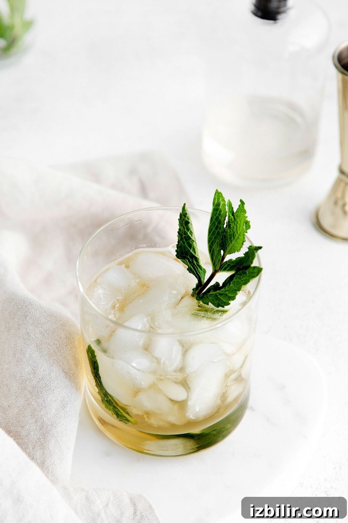 Classic Bourbon Mint Julep Cocktail Recipe 2 mint julep in a glass garnished with fresh mint.
