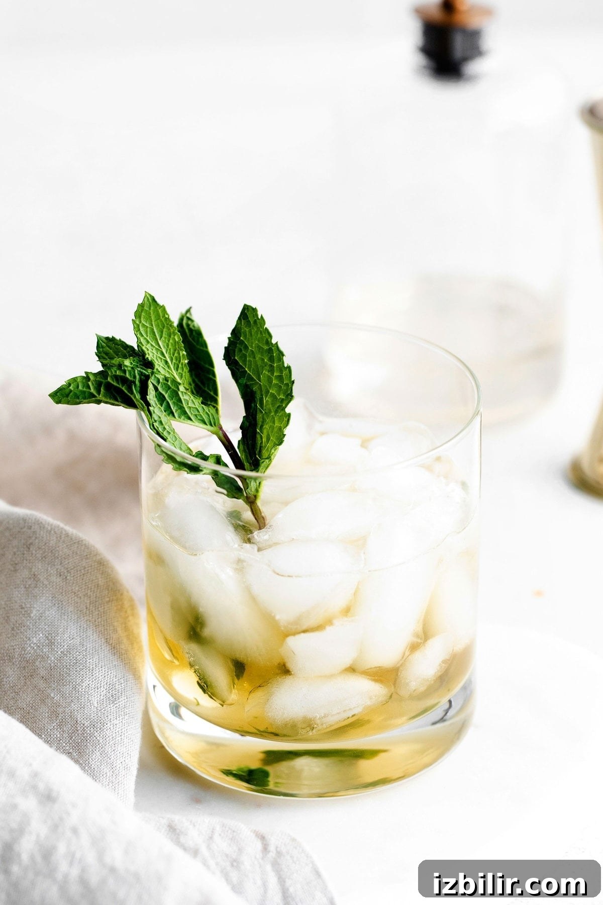 Classic Bourbon Mint Julep Cocktail Recipe 7 mint julep in a low ball glass garnished with fresh mint.