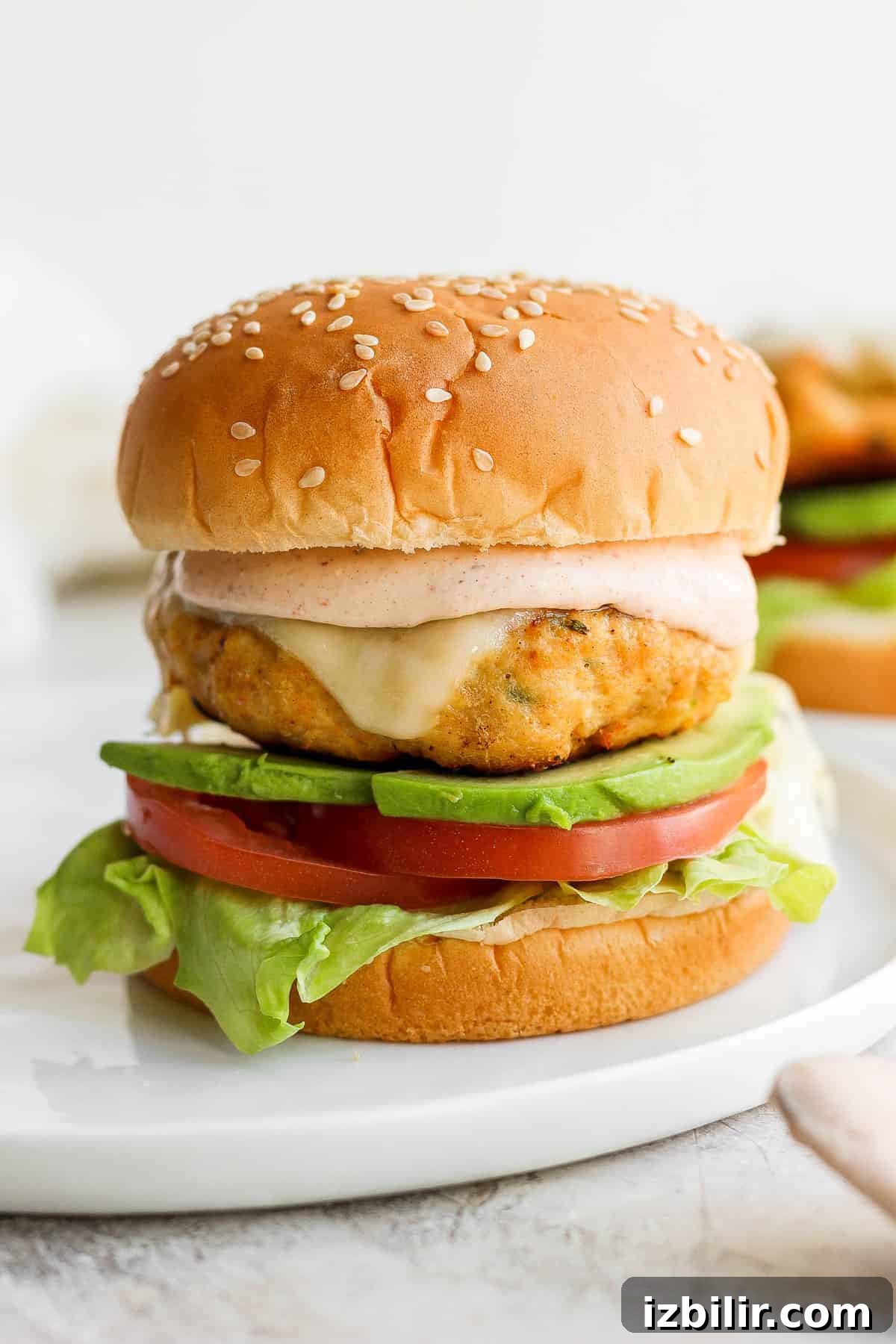 chicken burger and sauce on bun.
