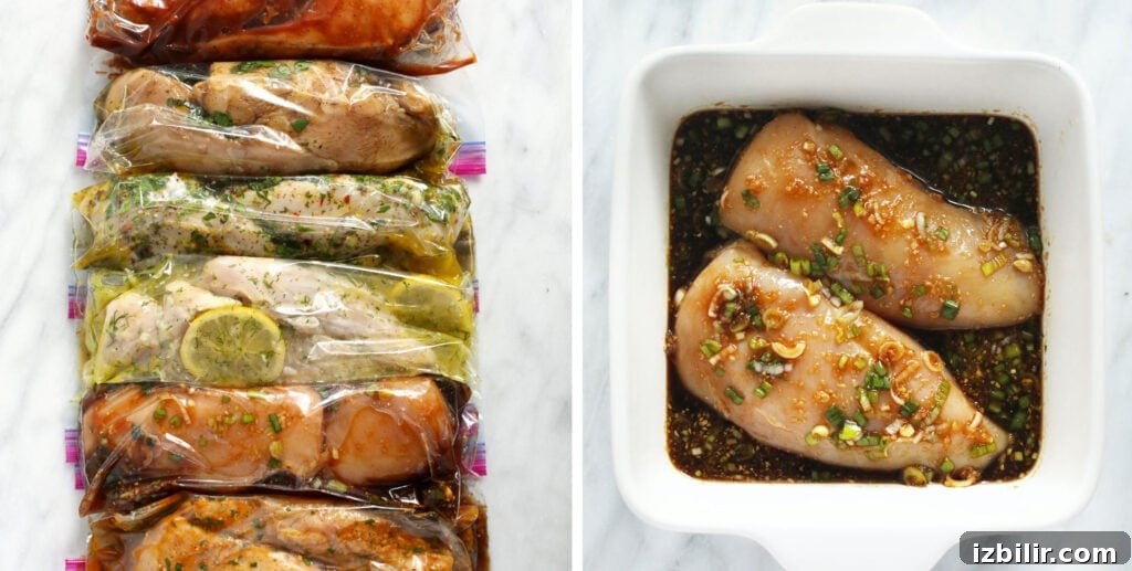chicken marinades in bags chicken marinades in bags