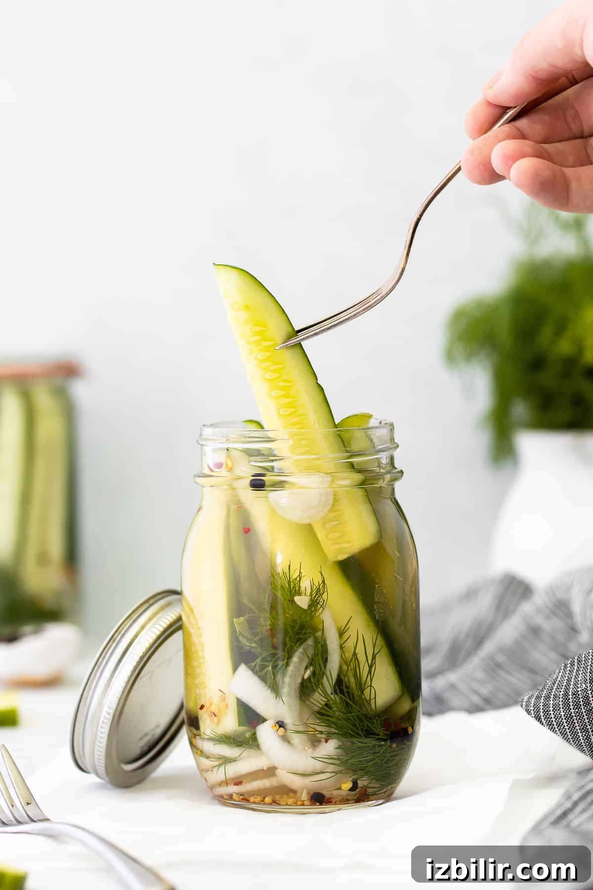 A refrigerator pickle on a fork. 