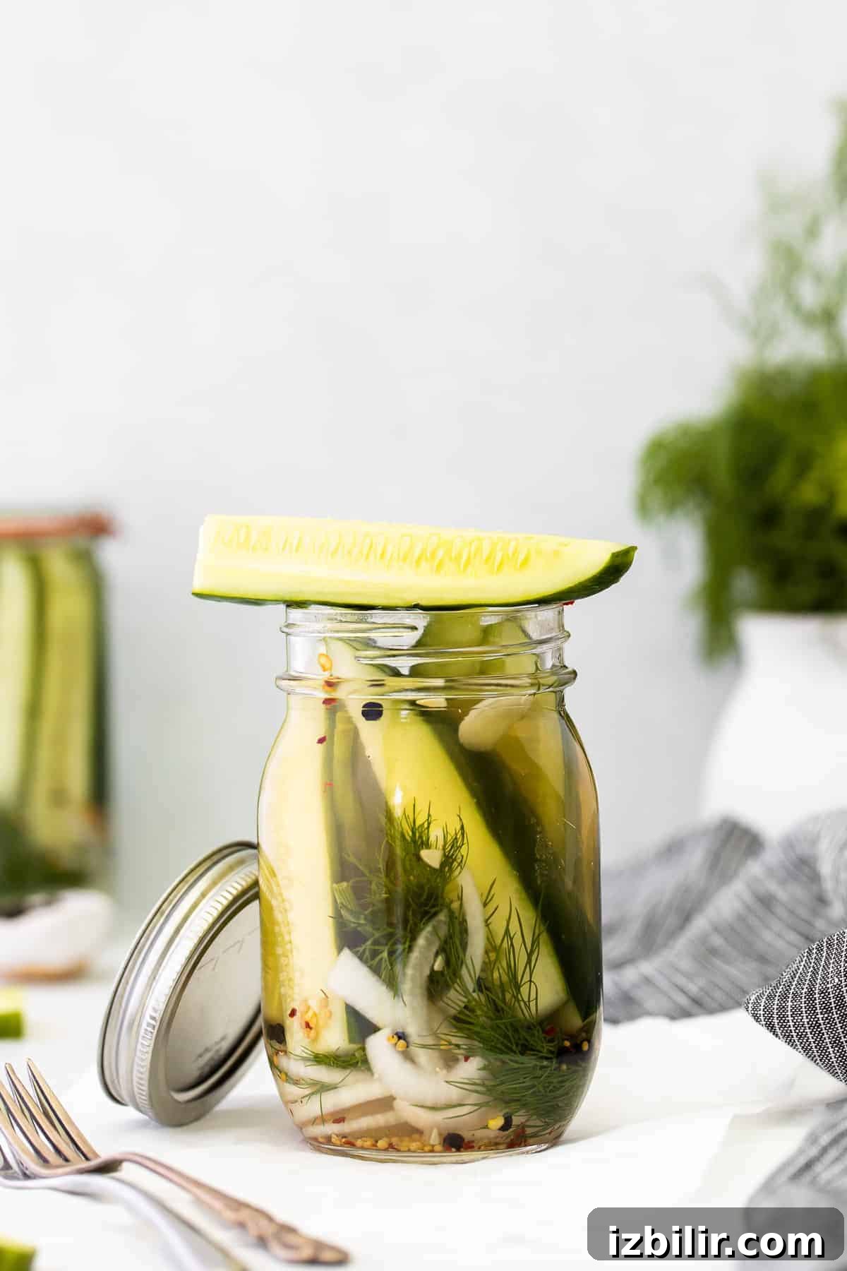 A refrigerator pickle sitting on top of a jar. 