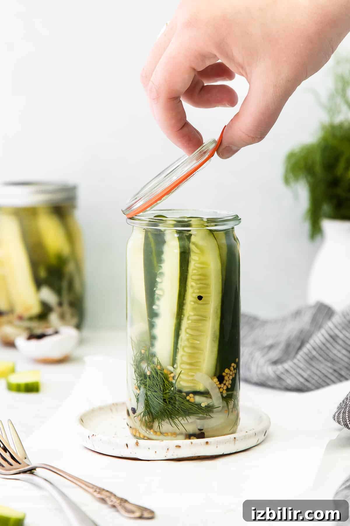 A jar full of refrigerator pickles. 