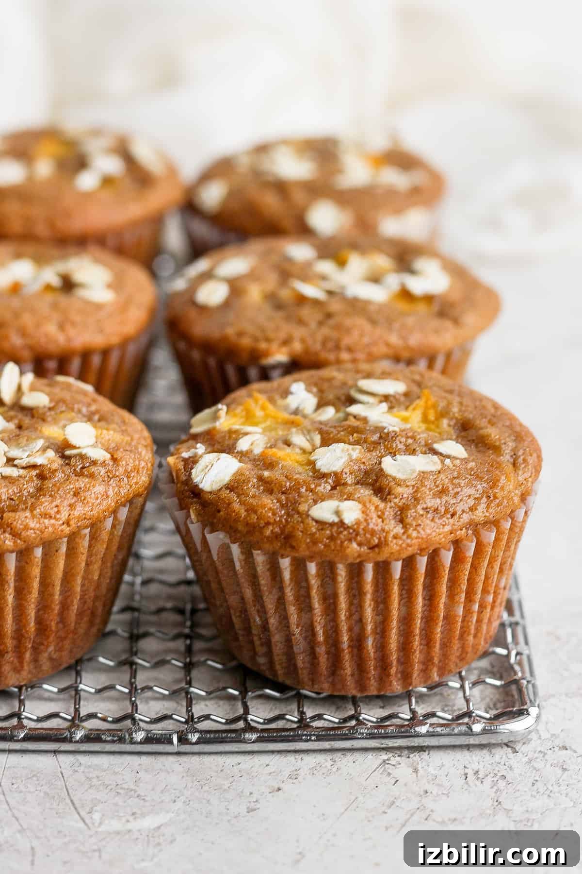 Fresh peach muffins cooling on a rack. peach muffins on a cooling rack topped with rolled oats