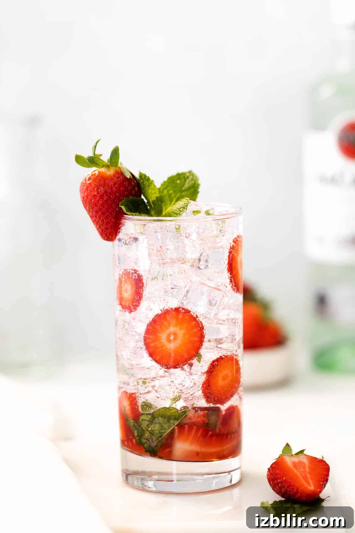 Strawberry mojito in a tall glass with mint garnish