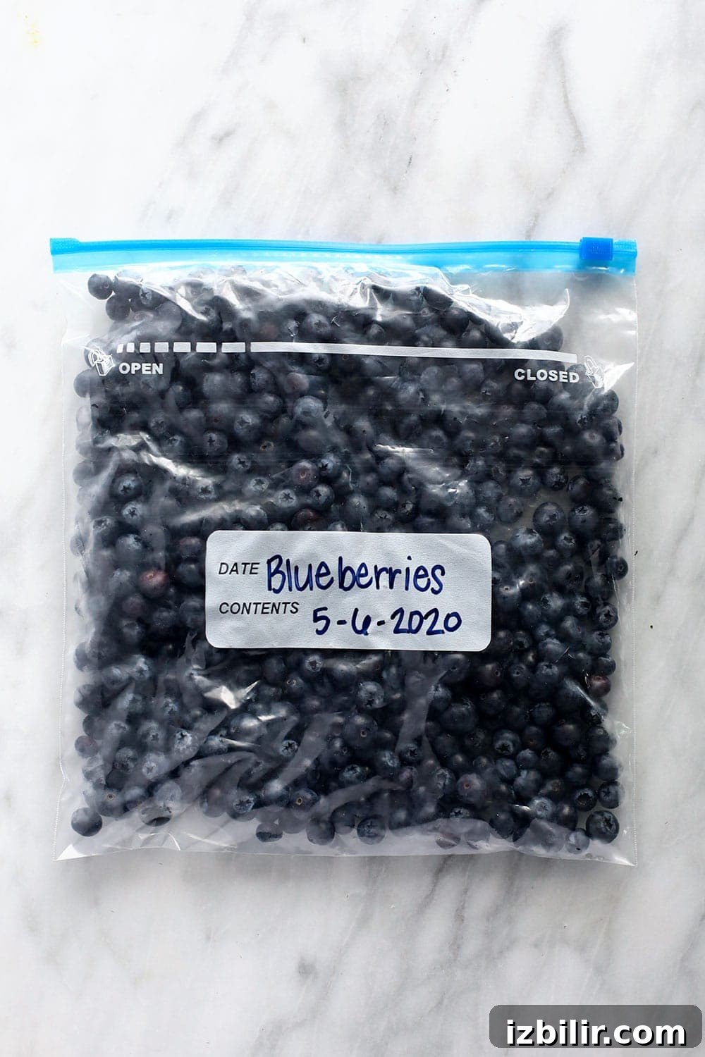 frozen blueberries in bag