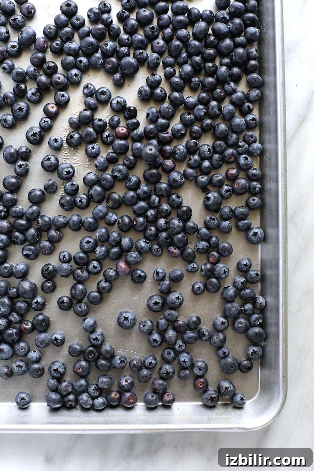 blueberries on baking sheet