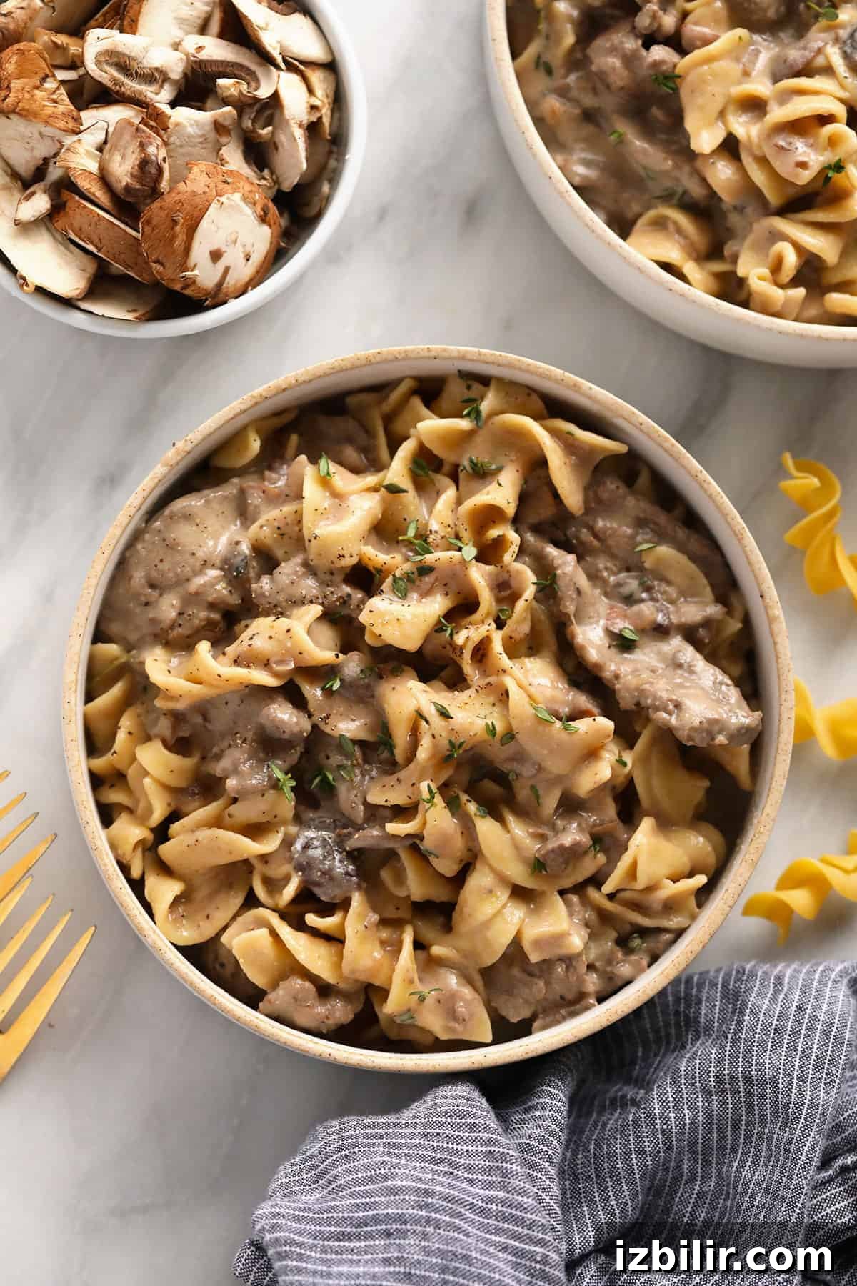 Beef stroganoff served over egg noodles.