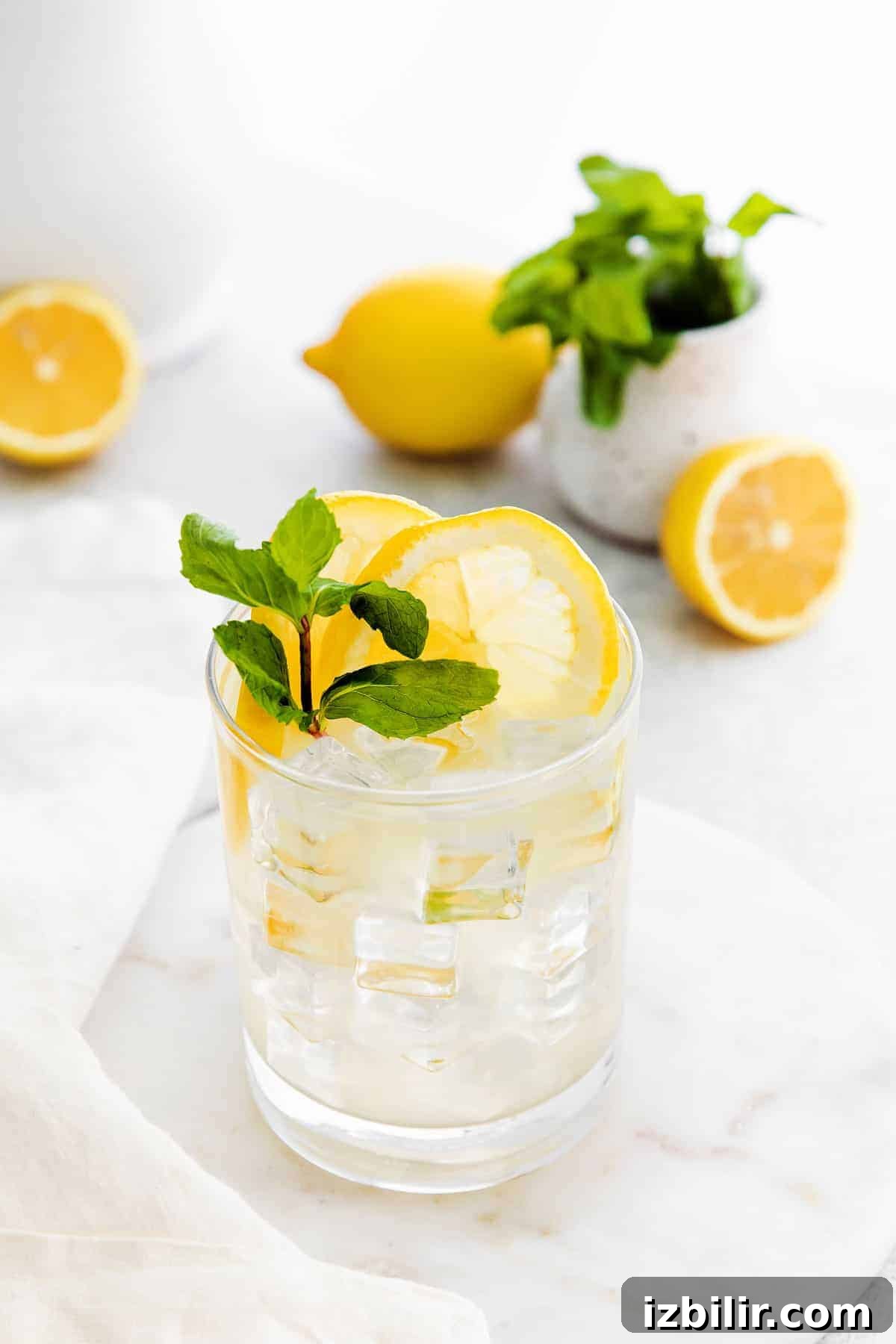 vodka lemonade in glass with fresh mint vodka lemonade in glass with fresh mint