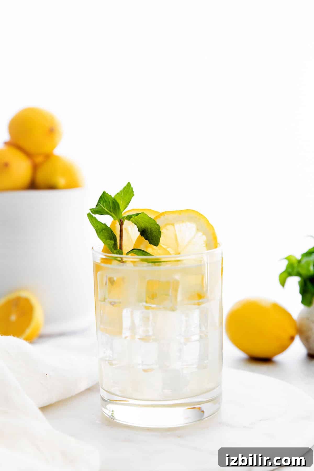 vodka lemonade in glass with ice vodka lemonade in glass with ice