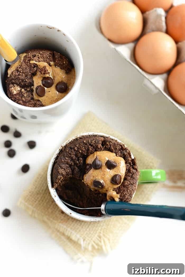 Chocolate Mug Cake with Coconut Flour 3 Coconut Flour Mug Cake