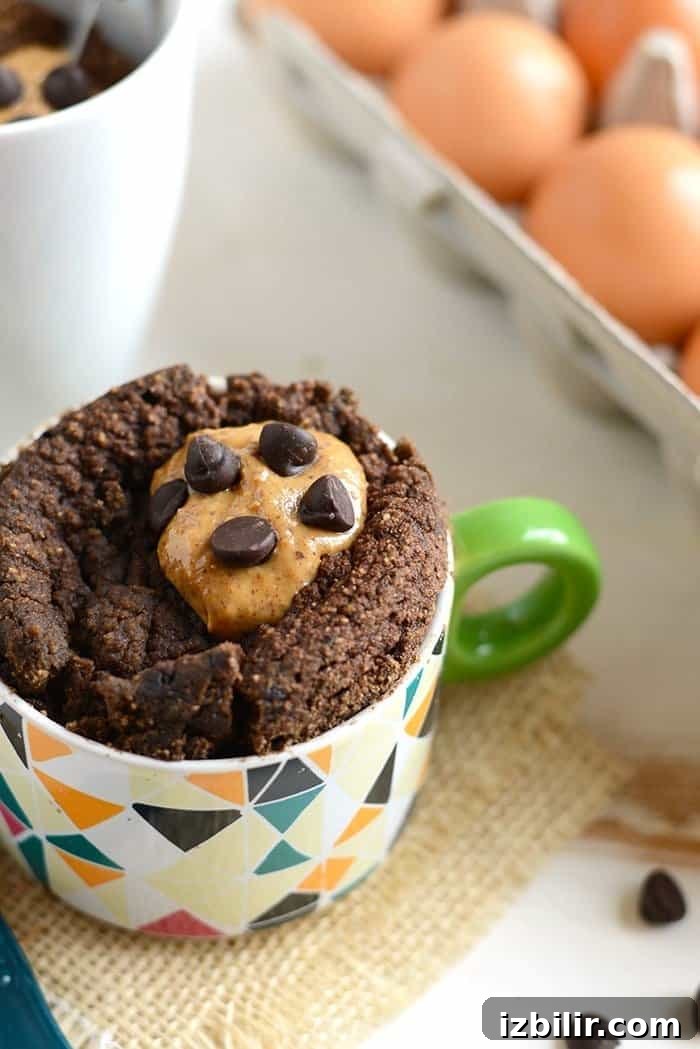 Chocolate Mug Cake with Coconut Flour 4 Coconut Flour Mug Cake
