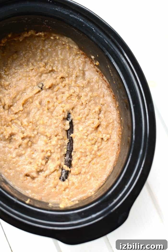 Steel Cut Oats in Crockpot Steel Cut Oats in Crockpot