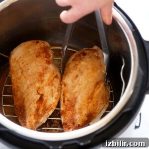 chicken breast in instant pot