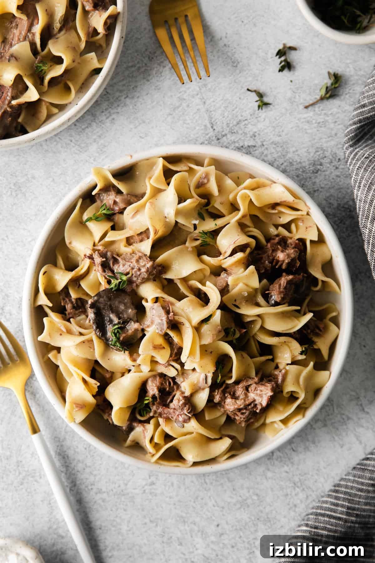 Slow cooker beef stroganoff bowl of slow cooker beef stroganoff with egg noodles