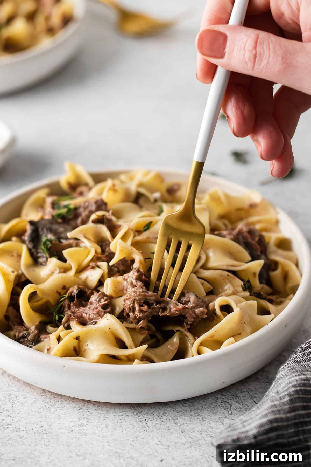 Stroganoff on a fork bowl of slow cooker beef stroganoff with egg noodles on a fork