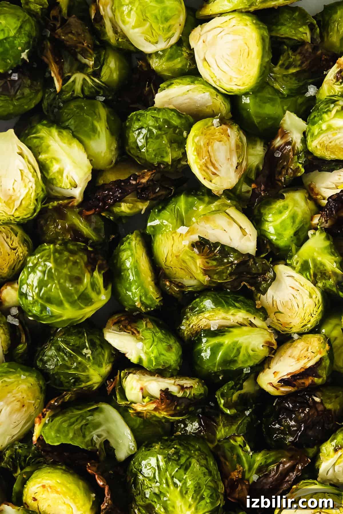 Crispy Air Fryer Brussels Sprouts Recipe 7 Brussel sprouts sprinkled with sea salt.