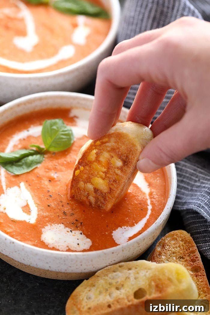 20-Minute Creamy Tomato Bisque Recipe 2 A bowl of creamy Tomato Bisque Soup