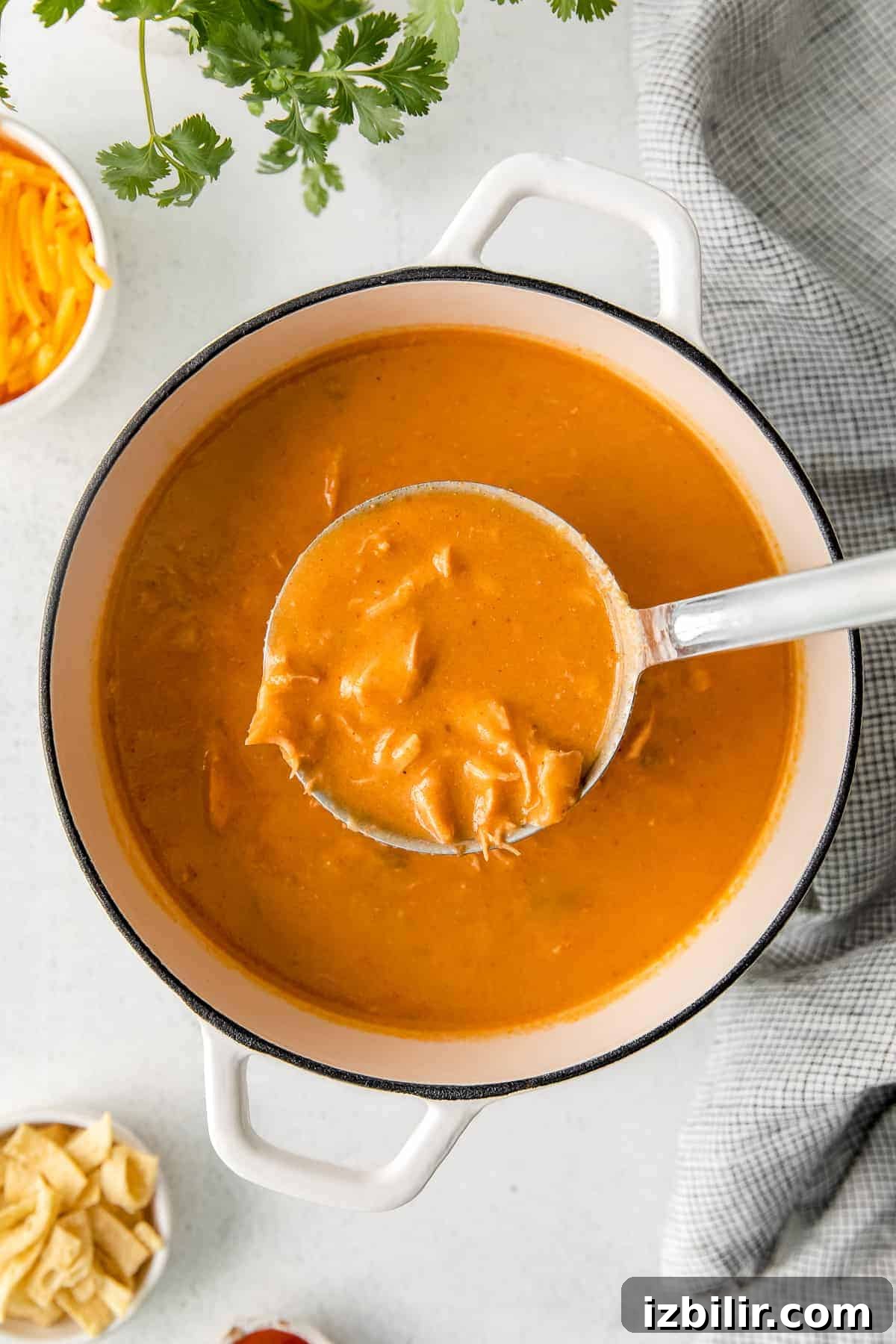 A ladle full of chicken enchilada soup.
