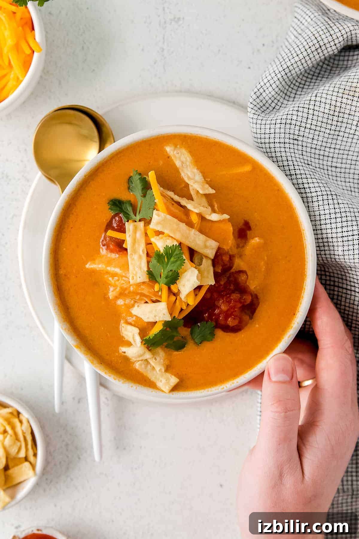 Chicken enchilada soup in a bowl.