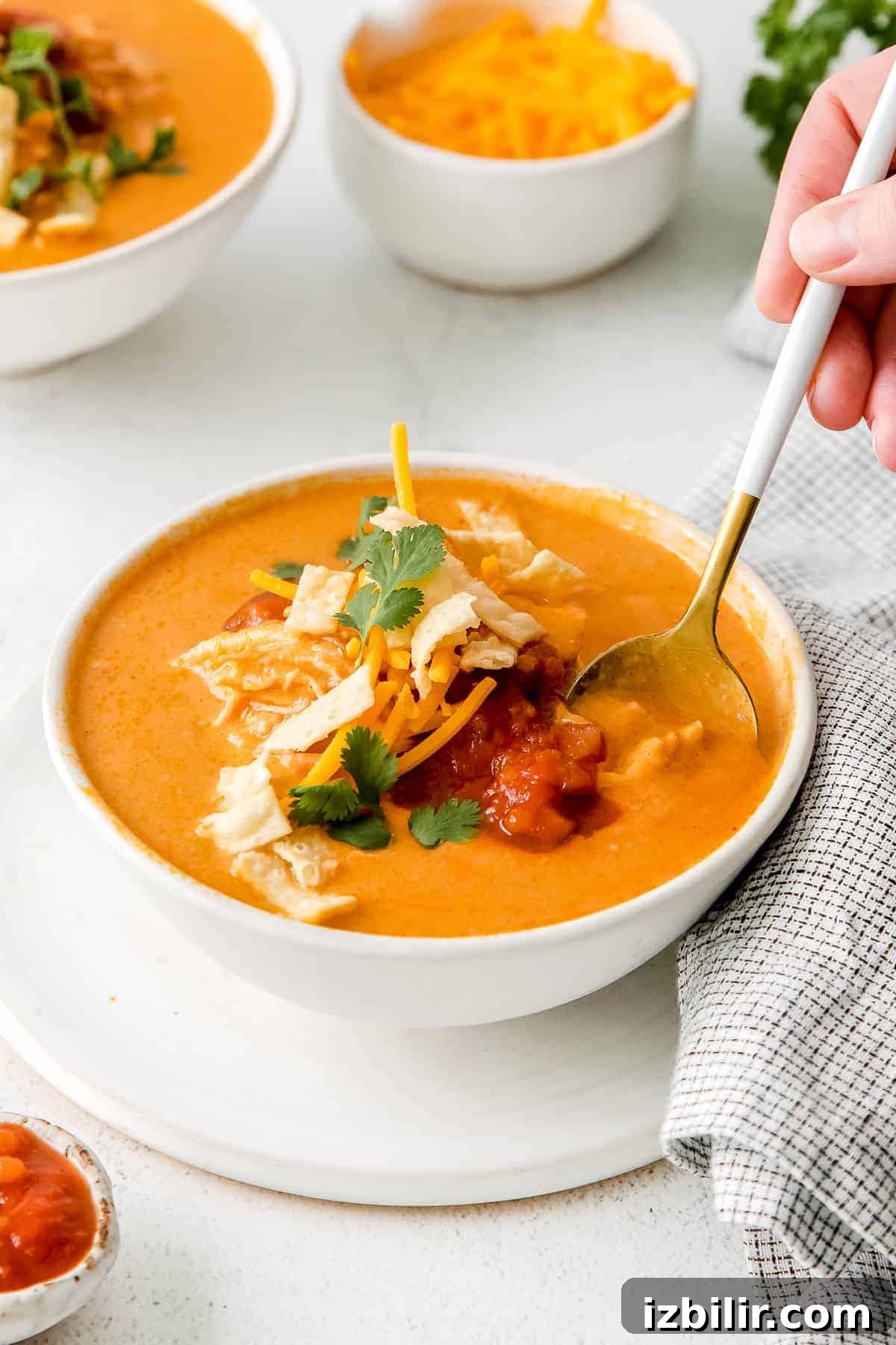 A spoon in the Chilis Chicken Enchilada Soup.
