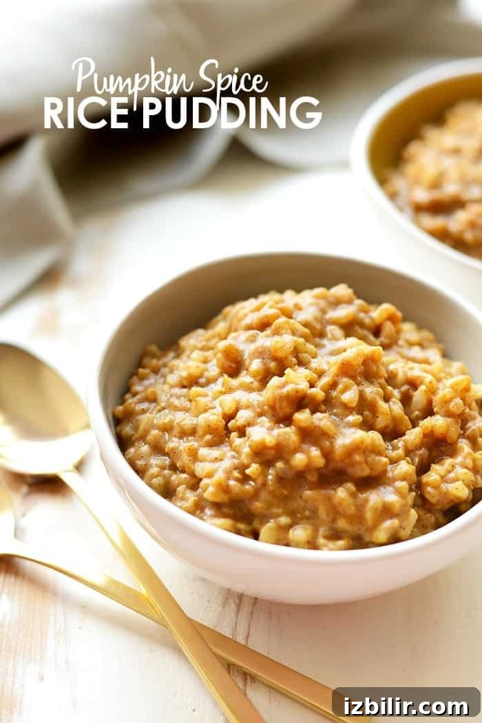 Pumpkin Rice Pudding Recipe with Cinnamon and Nutmeg 2 This pumpkin spice rice pudding is so healthy you could eat it for breakfast! It's made with short grain brown rice, almond milk, and organic pumpkin!