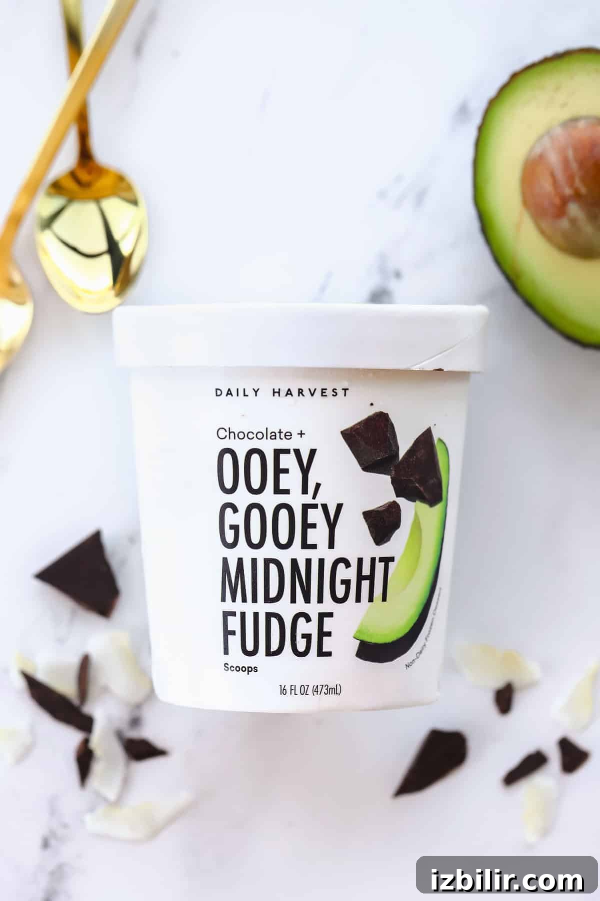 Daily Harvest scoops daily harvest scoops ice cream in a pint