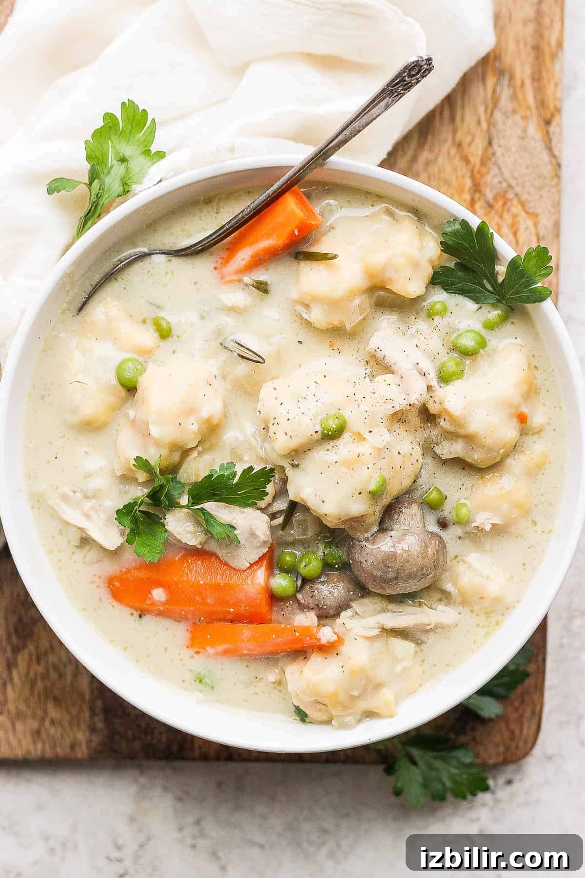 Homestyle Slow Cooker Chicken and Dumplings Recipe 2 chicken and dumplings