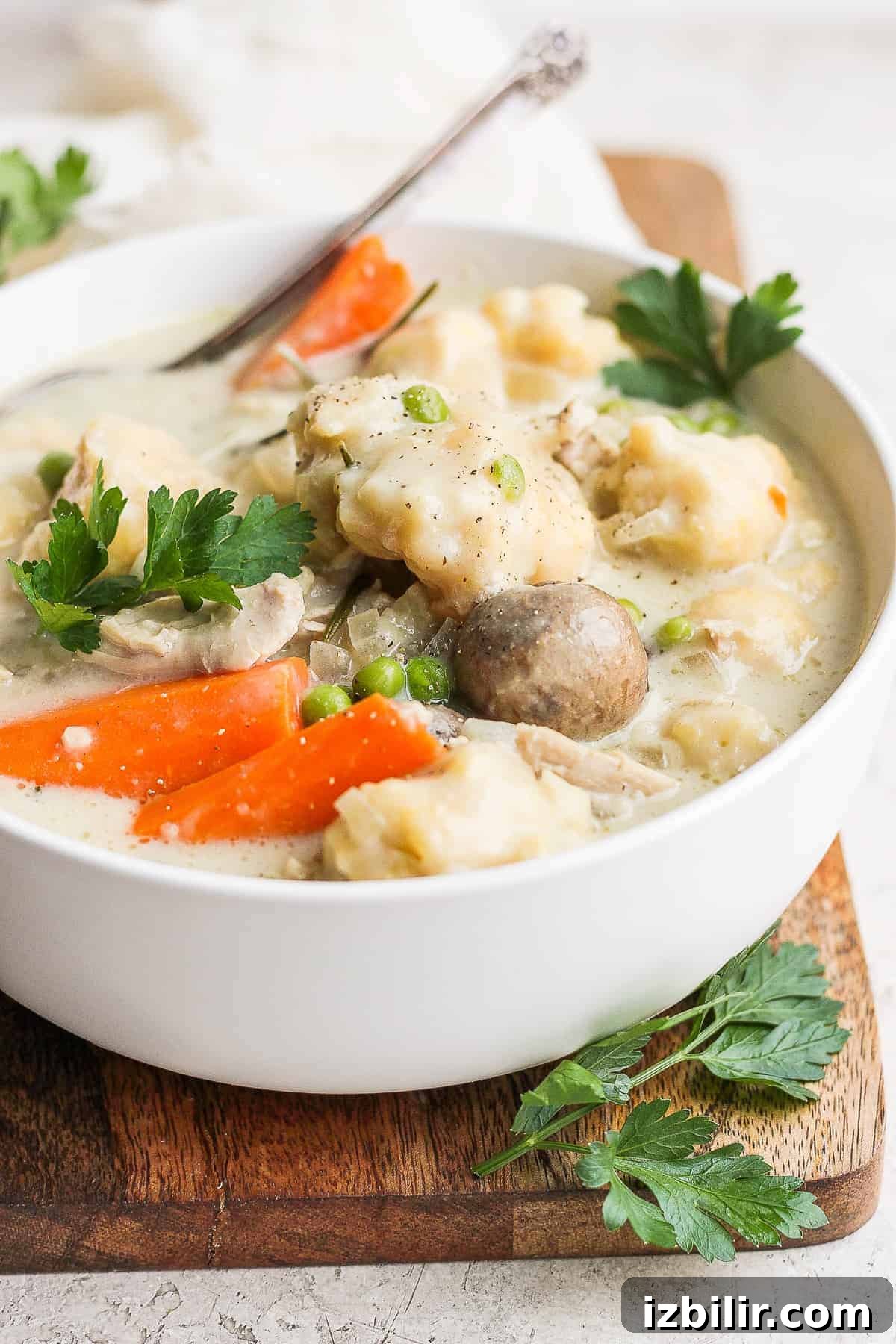 Homestyle Slow Cooker Chicken and Dumplings Recipe 9 Chicken and dumplings in a bowl.