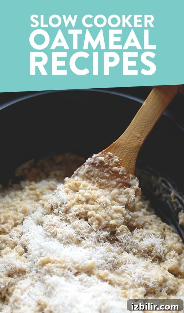 slow cooker oatmeal recipes