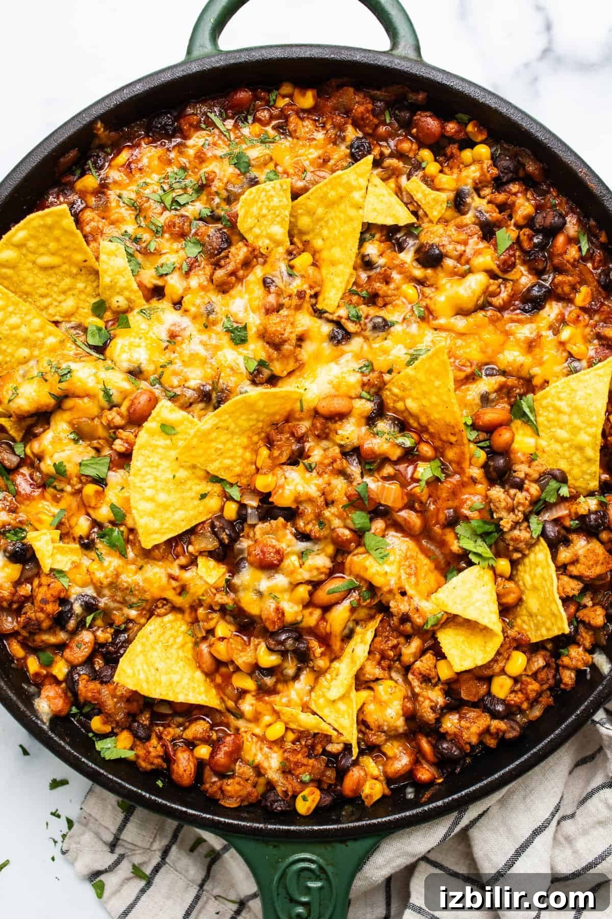 Light Enchilada Dip Recipe with Black Beans and Cheese 6 A skillet of baked nachos with melted cheese, ground meat, beans, and corn, garnished with crispy tortilla chips.