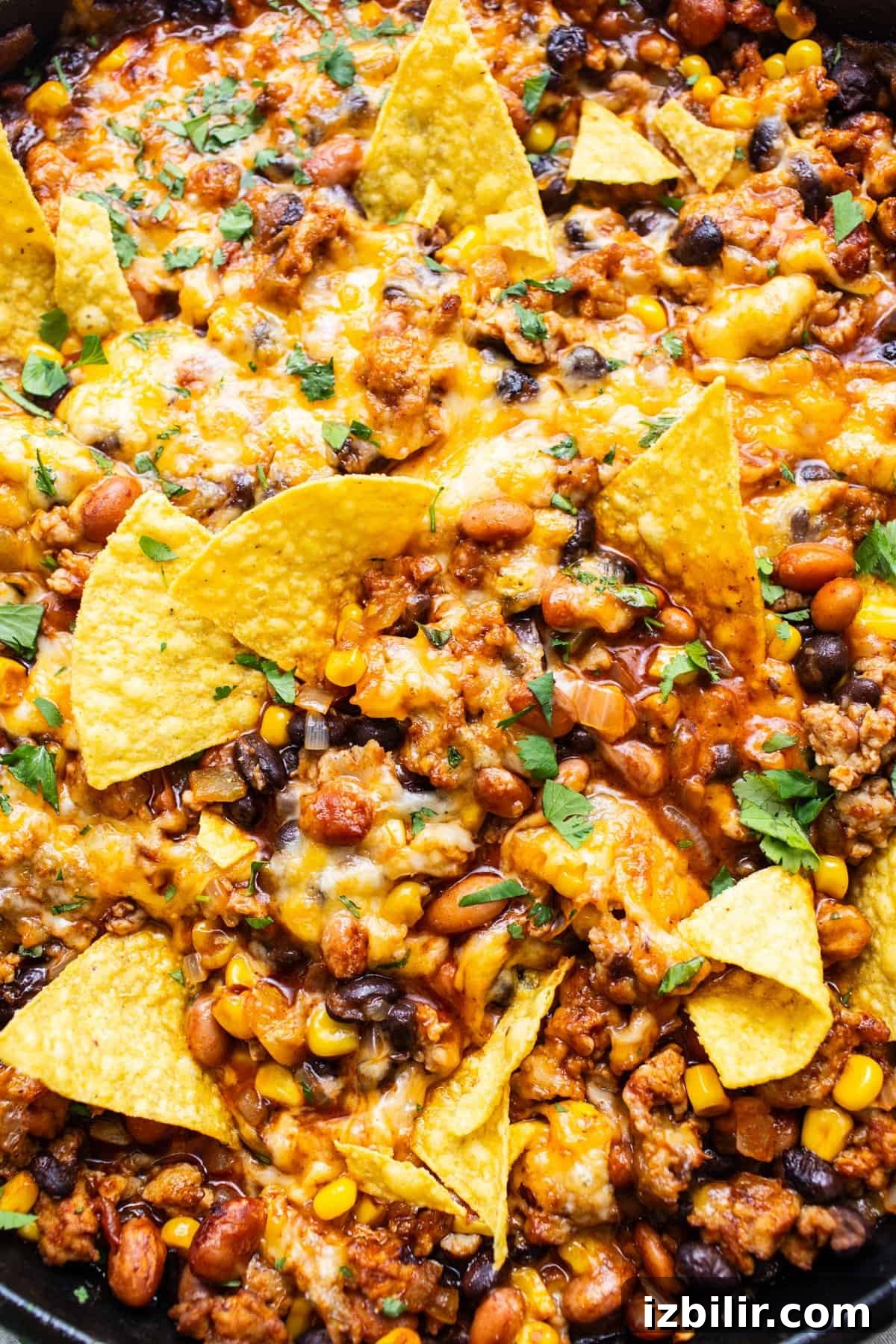 Light Enchilada Dip Recipe with Black Beans and Cheese 7 A skillet with nachos covered in melted cheese, ground meat, beans, corn, and garnished with fresh herbs.