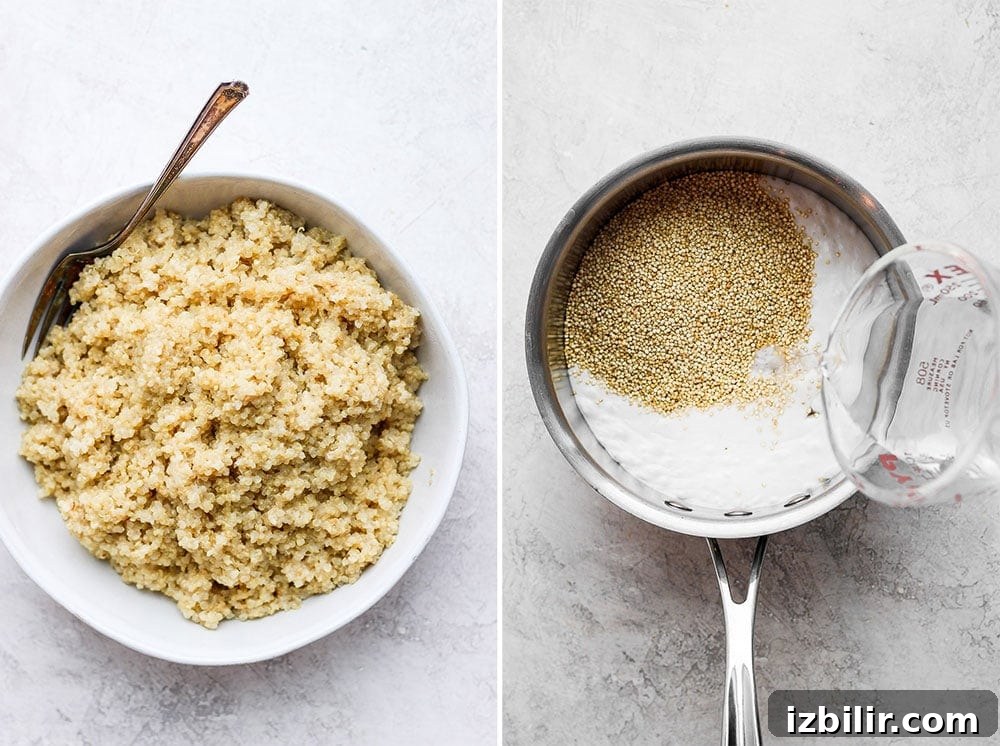 Coconut quinoa in a bowl coconut quinoa in bowl