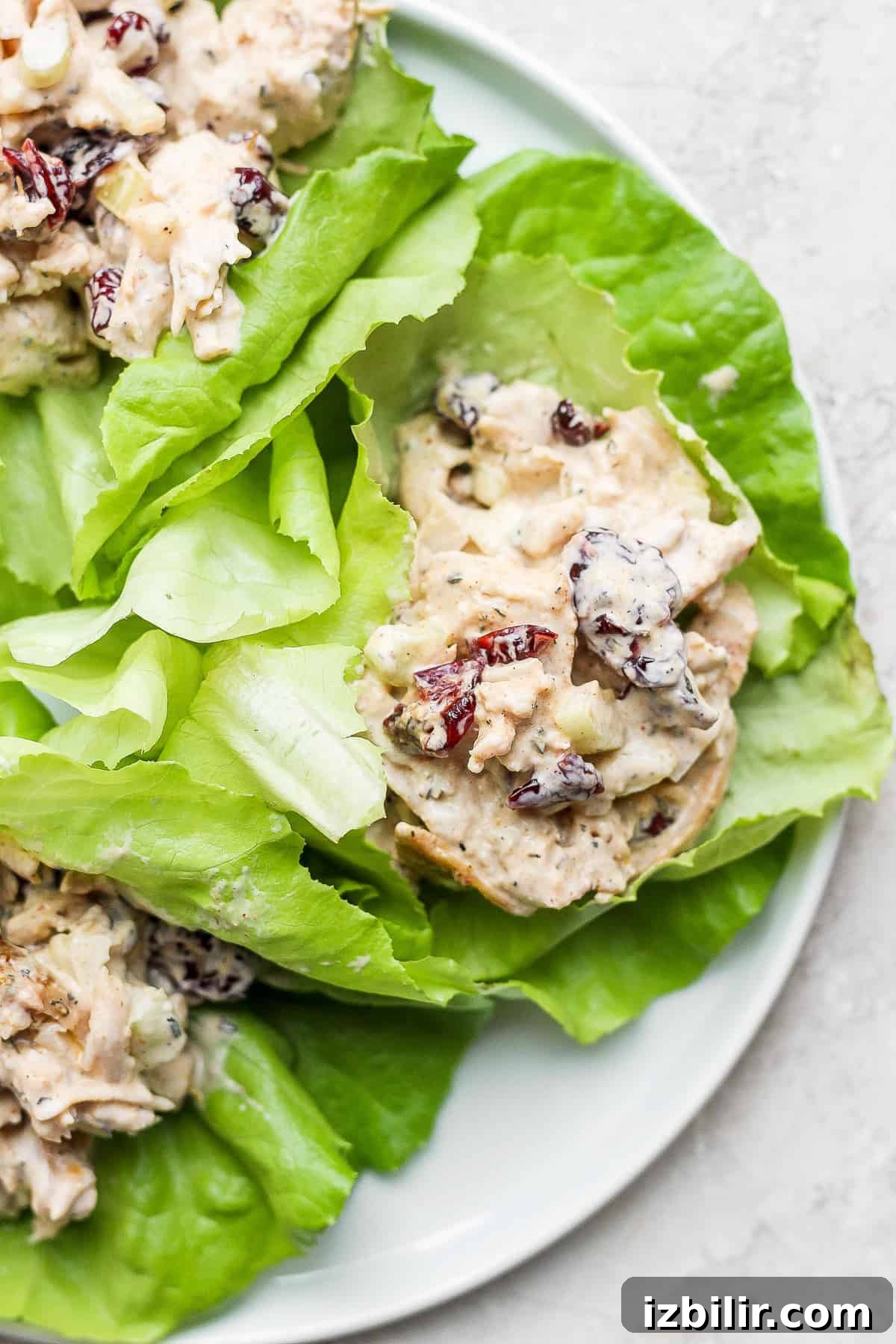 Turkey salad in a lettuce wrap.