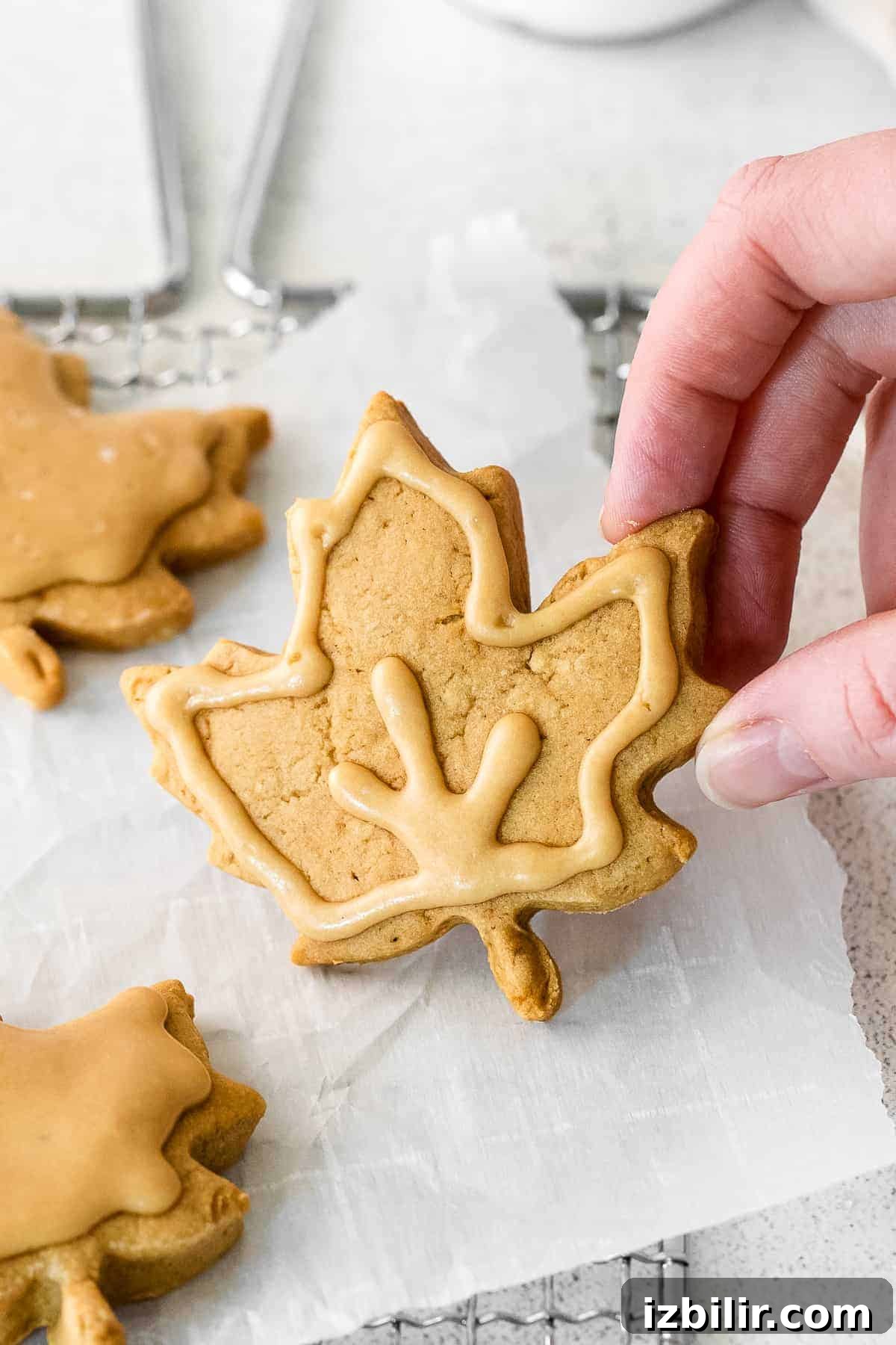 Maple sugar cookies ready to enjoy maple sugar cookies