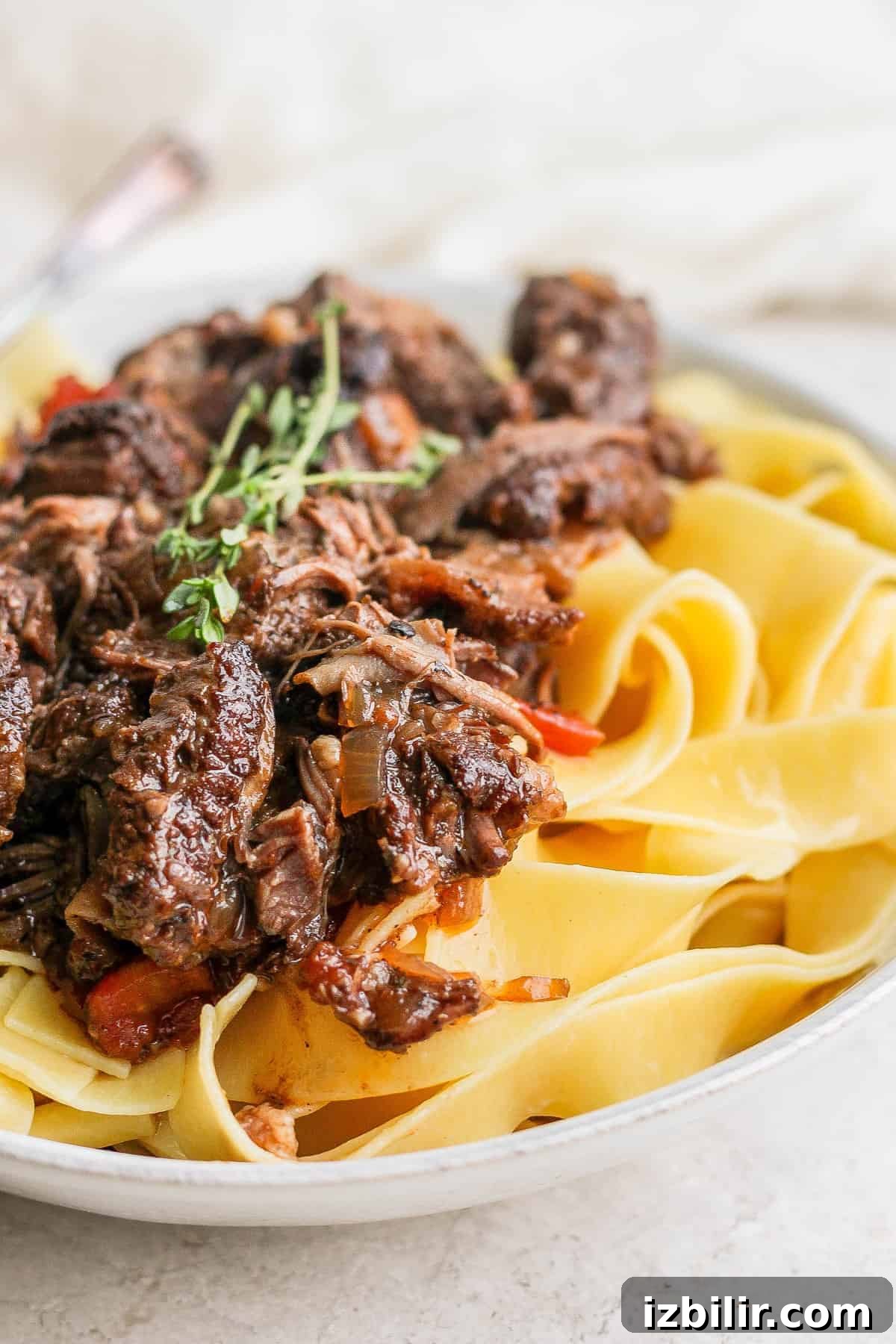Slow Cooker Short Rib Ragu Recipe for Pasta 7 Short rib ragu on a plate with pappardelle noodles.