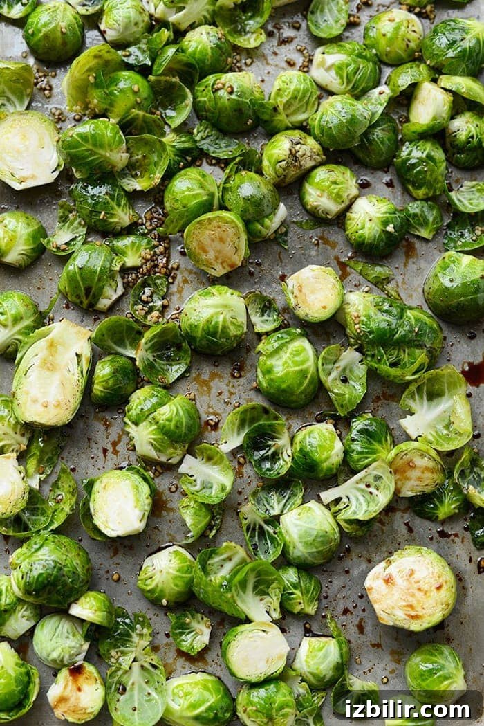Roasted Brussels Sprouts with Balsamic Glaze 4 roasted brussel sprouts with balsamic and olive oil