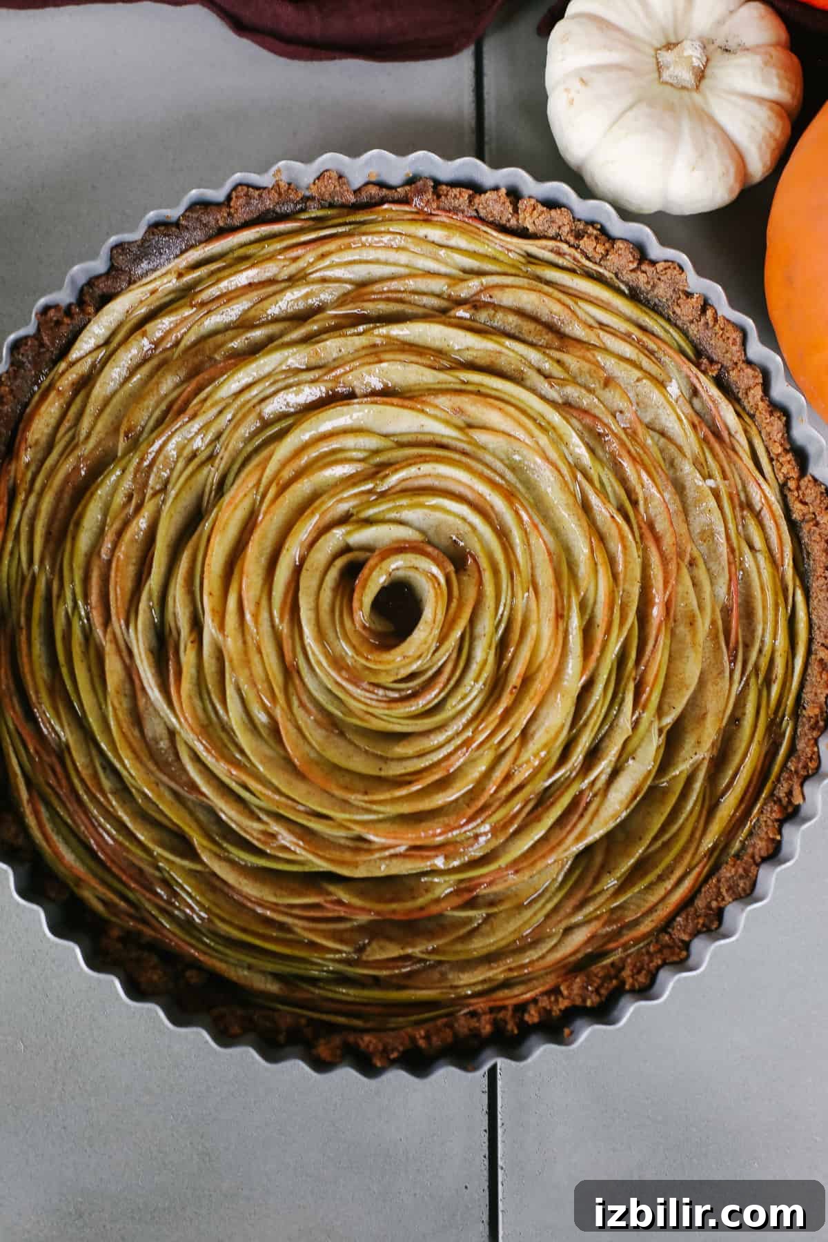 Thanksgiving Menu 2021: Your Complete Holiday Recipe Guide 11 apple tart in a tart pan