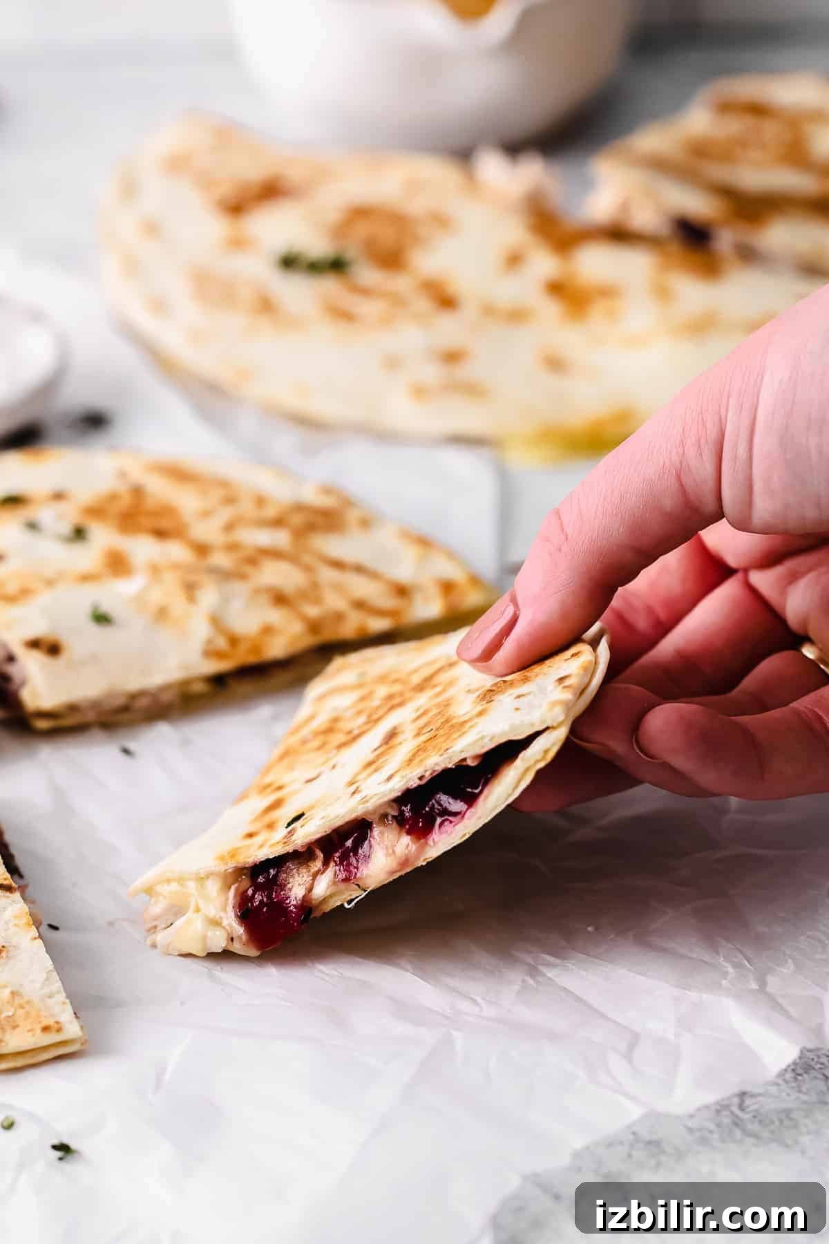 Leftover Thanksgiving Turkey Quesadilla with Cranberry Salsa 2 Leftover Thanksgiving turkey quesadilla in someone's hand