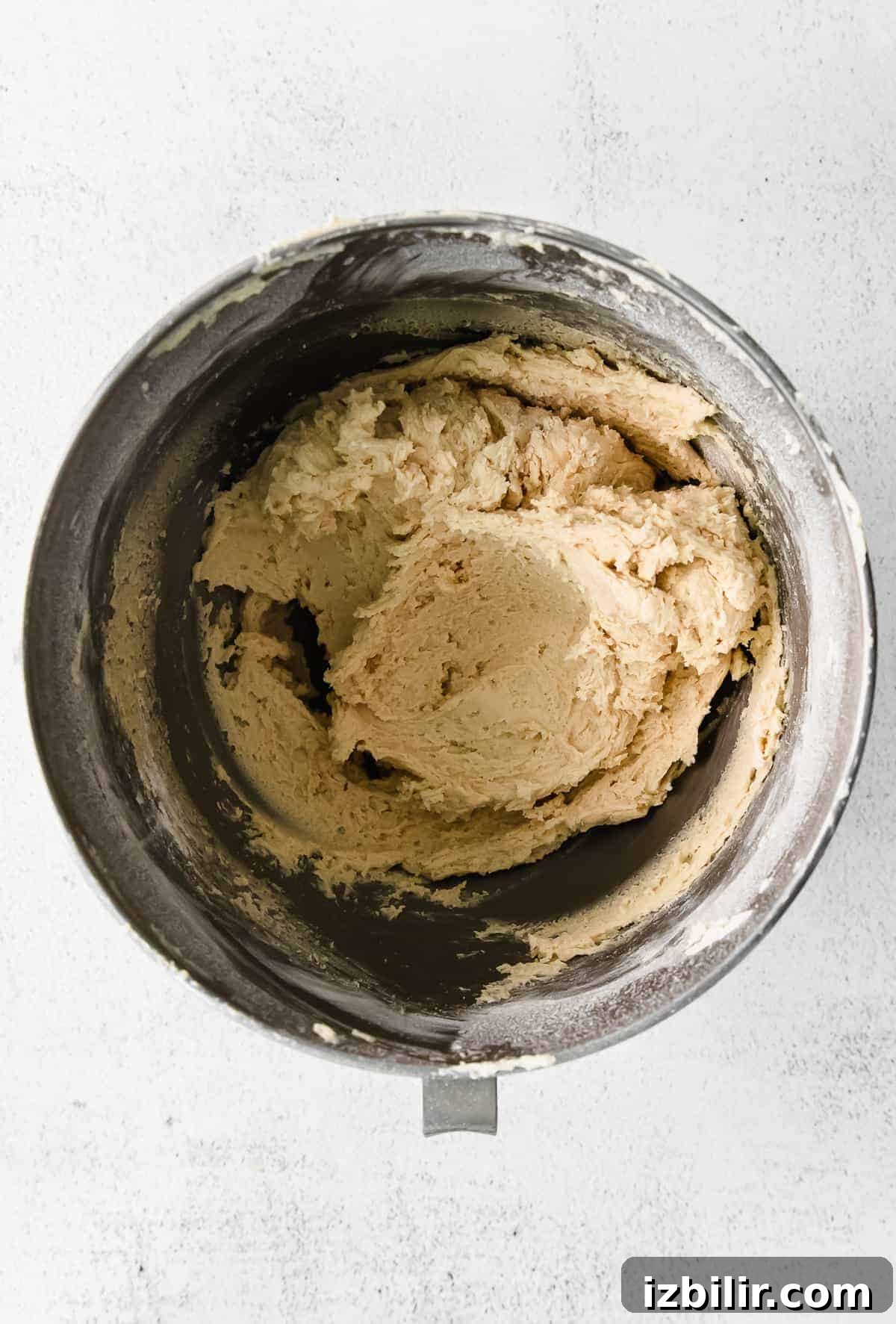 Homemade Snickerdoodle Cookies: Cinnamon Sugar Recipe 4 Snickerdoodle cookie dough in a bowl