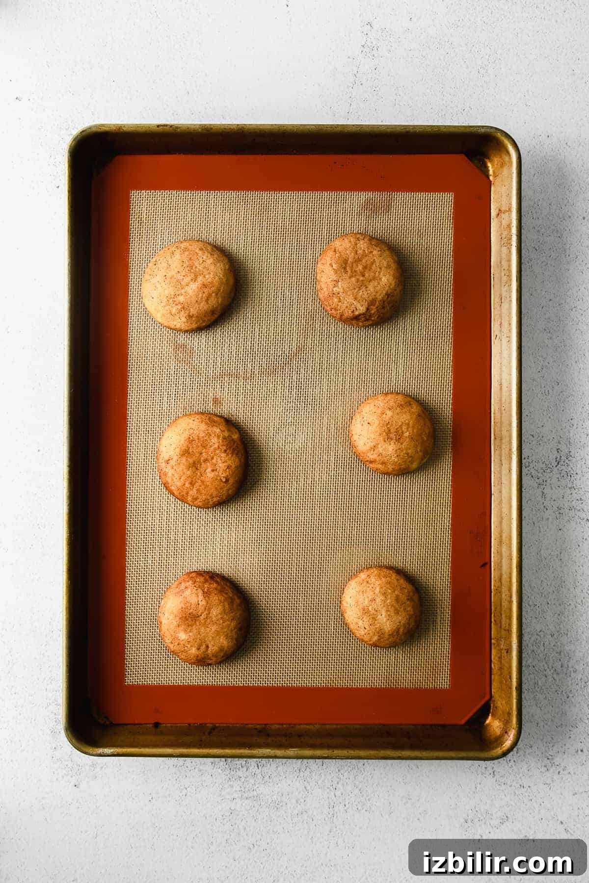 Homemade Snickerdoodle Cookies: Cinnamon Sugar Recipe 6 Snickerdoodles on a baking sheet